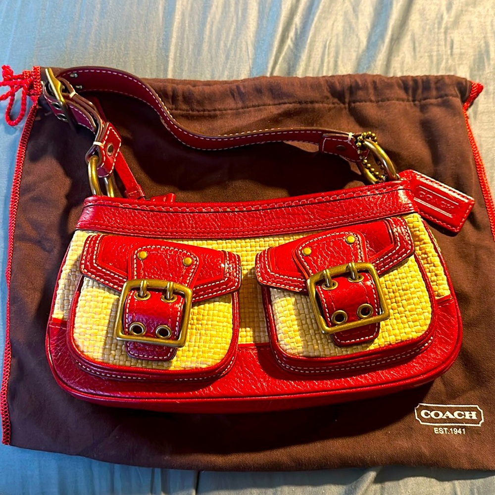 Beautiful coach pochette bash, never used, comes with dust bag.